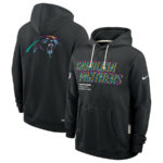 Carolina Panthers Black 2025 Crucial Catch Sideline Standard Issue Hoodie