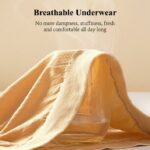 [Web Main Image – Web Curvy]