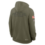 Detroit Lions Olive 2025 Salute to Service Hoodie